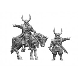 Samurai Wars: Tokugawa Ieyasu