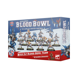 BLOOD BOWL: HIGH ELF TEAM -...
